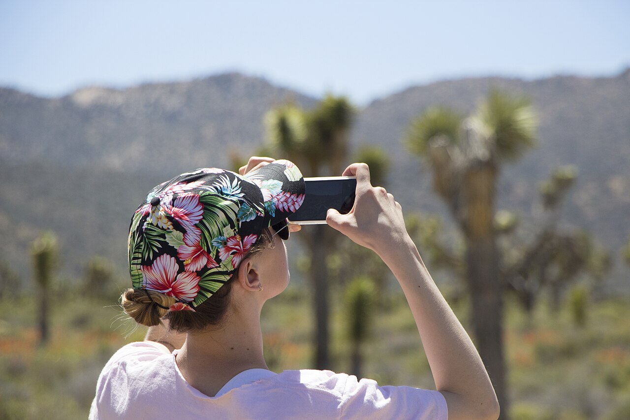 Smartphone photography in Joshua Tree