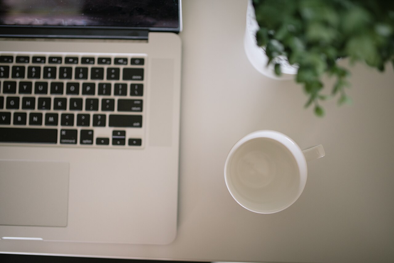 Working at a desk with a laptop coffee cup and a plant on a white surface