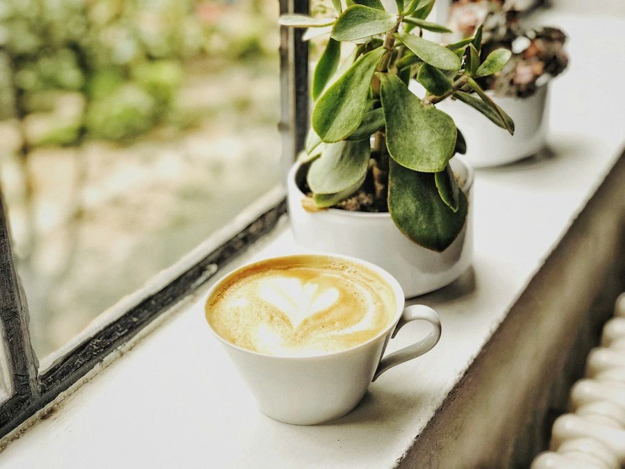 Coffee mug beside a green plant, a sample post